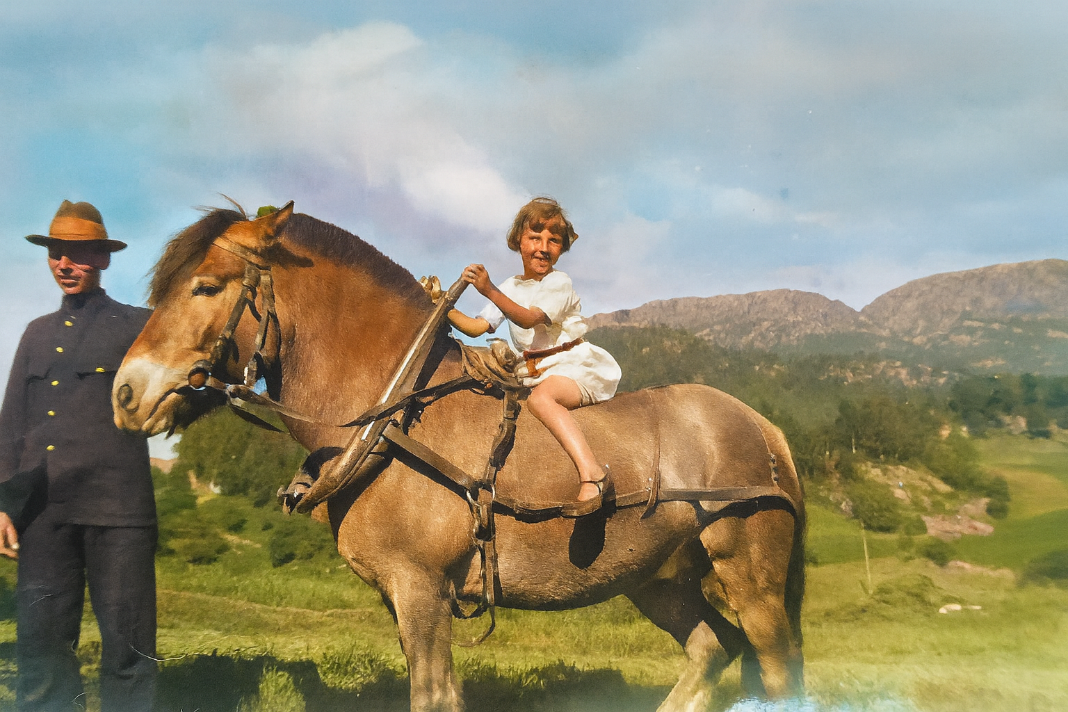 Hest på Milleshaug 1902