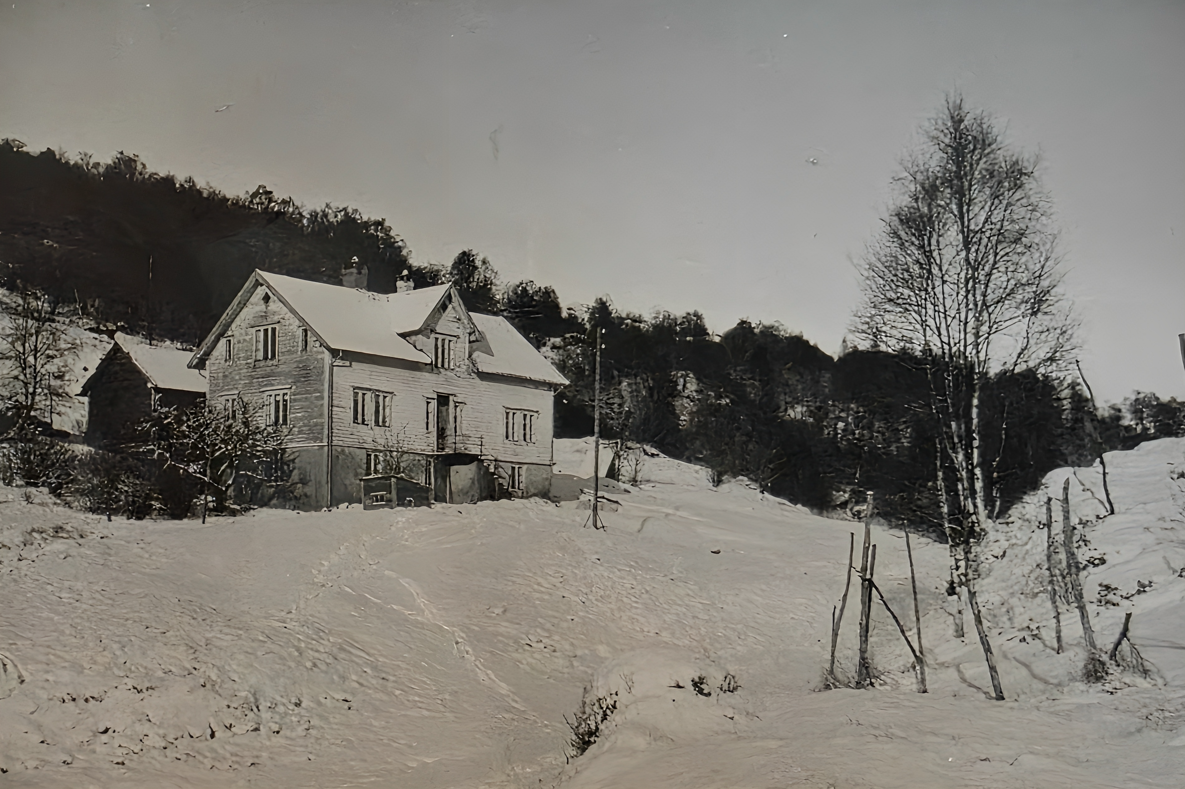 Våningshuset 1950