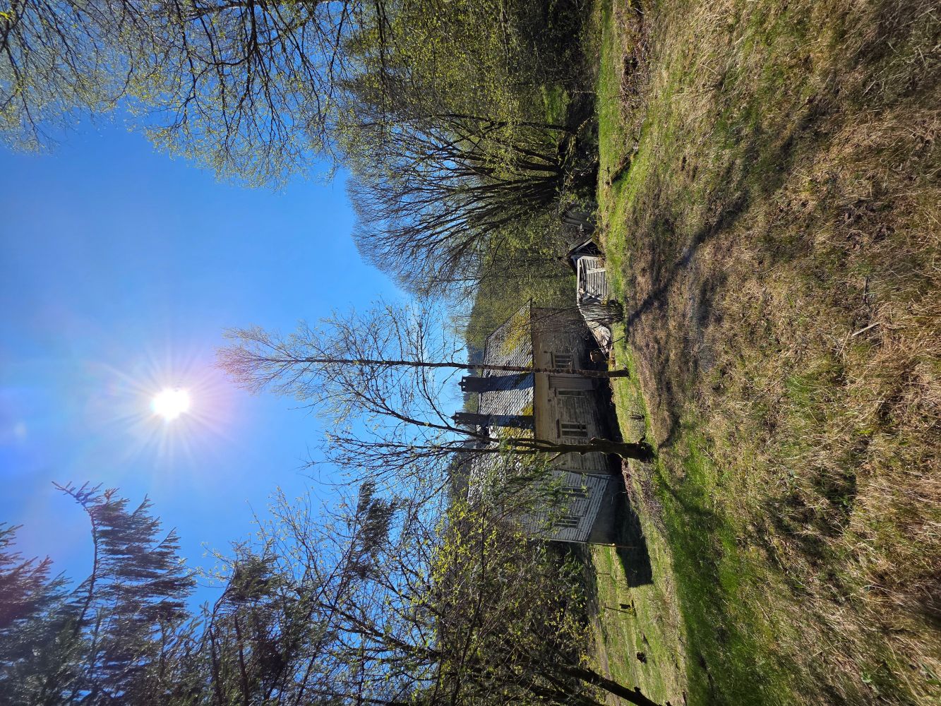The area around the house after tree clearing April 2026