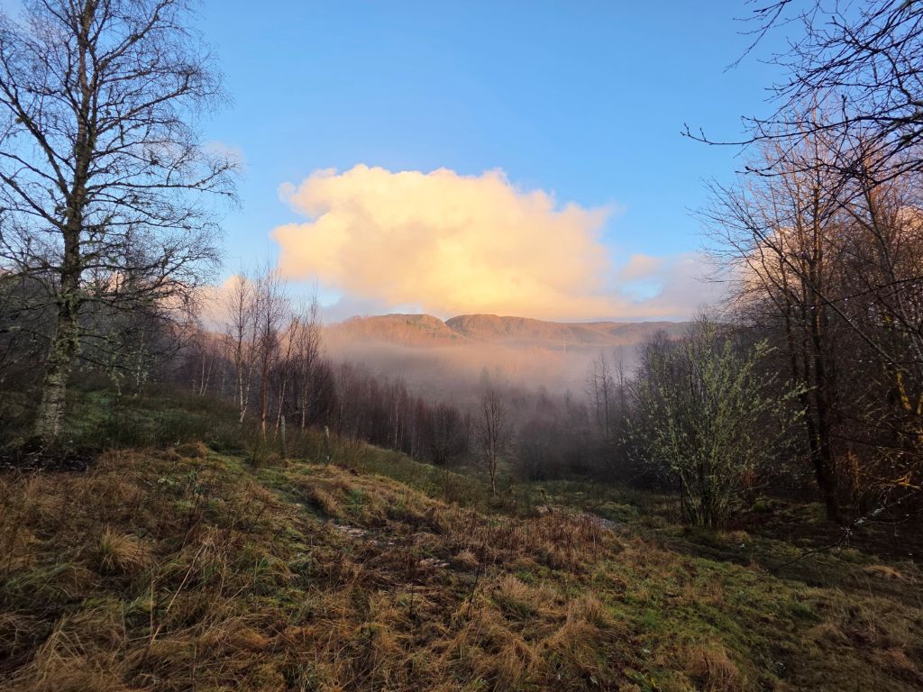 Utsikt mot nordøst desember 2025